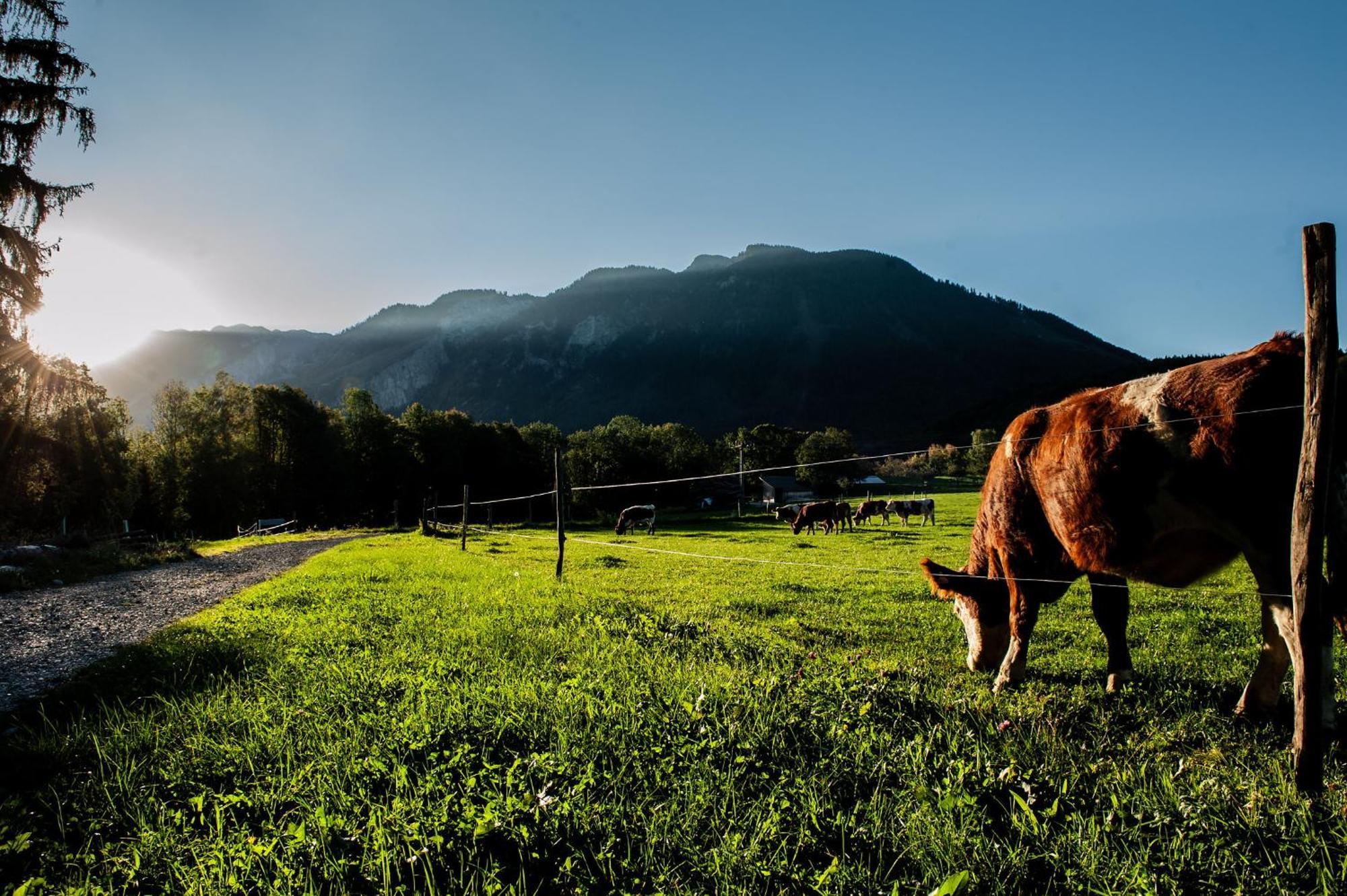 Gasthof Steinerwirt Grossgmain Dış mekan fotoğraf